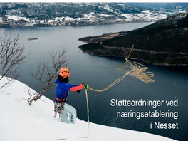 Støtteordninger Ved Næringsetablering I Nesset