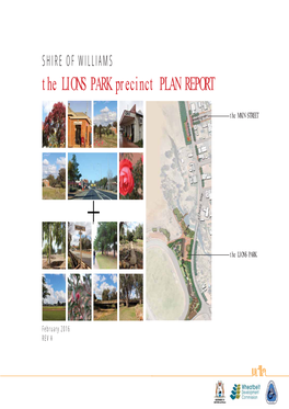 The LIONS PARK Precinct PLAN REPORT