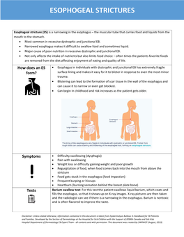 Esophogeal Strictures