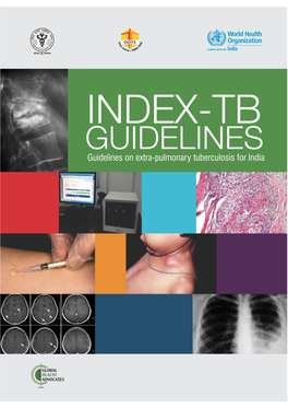 5585665076Index-TB Guidelines.Pdf