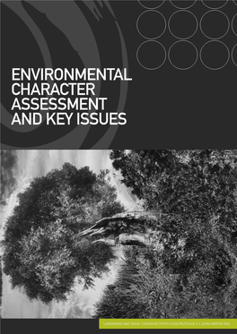 Environmental Character Assessment and Key Issues