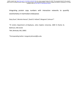 Integrating Protein Copy Numbers with Interaction Networks to Quantify Stoichiometry in Mammalian Endocytosis