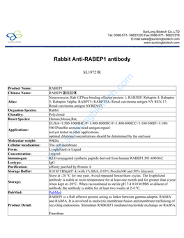 Rabbit Anti-RABEP1 Antibody-SL19721R