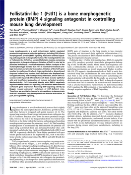 (BMP) 4 Signaling Antagonist in Controlling Mouse Lung Development