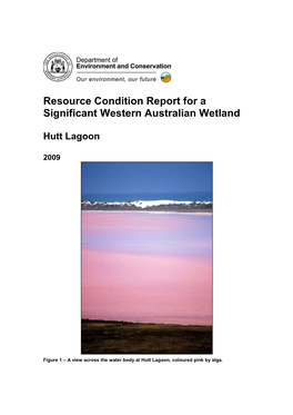 RCM028 Hutt Lagoon Condition Report