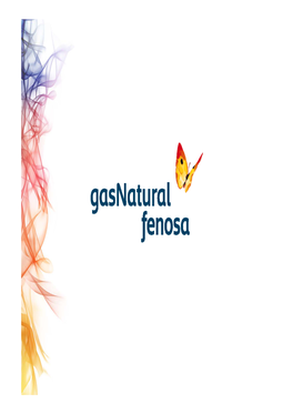 Distribució De Gas Natural a Lleida Municipis Amb Subministrament (41)