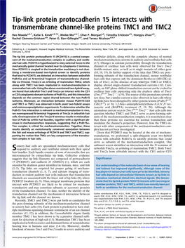 Tip-Link Protein Protocadherin 15 Interacts with Transmembrane Channel-Like Proteins TMC1 and TMC2