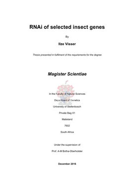 Rnai of Selected Insect Genes