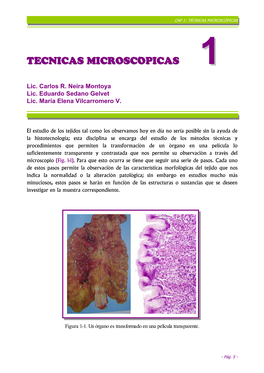 Tecnicas Microscopicas
