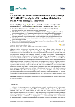 Hairy Garlic (Allium Subhirsutum) from Sicily (Italy): LC-DAD-Msn Analysis of Secondary Metabolites and in Vitro Biological Properties