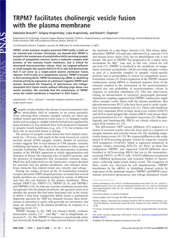 TRPM7 Facilitates Cholinergic Vesicle Fusion with the Plasma Membrane