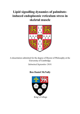 Lipid Signalling Dynamics of Palmitate- Induced Endoplasmic Reticulum Stress in Skeletal Muscle
