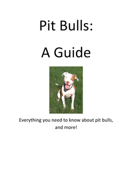 Everything You Need to Know About Pit Bulls, and More!