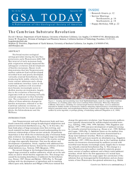 Cambrian Substrate Revolution