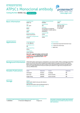 ATP5C1 Monoclonal Antibody