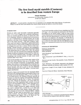 The First Fossil Mysid Statolith (Crustacea) to Be Described From