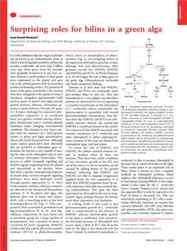 Surprising Roles for Bilins in a Green Alga Jean-David Rochaix1 Departments of Molecular Biology and Plant Biology, University of Geneva,1211 Geneva, Switzerland