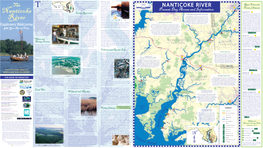 Nanticoke River Explorers Brochure