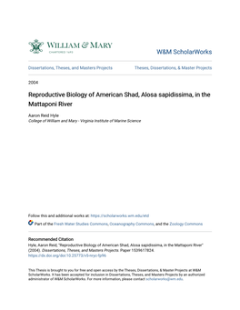 Reproductive Biology of American Shad, Alosa Sapidissima, in the Mattaponi River