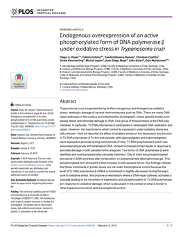 Endogenous Overexpression of an Active Phosphorylated Form of DNA Polymerase Β Under Oxidative Stress in Trypanosoma Cruzi