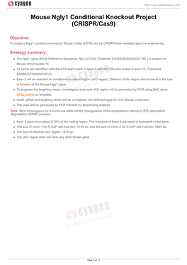 Mouse Ngly1 Conditional Knockout Project (CRISPR/Cas9)