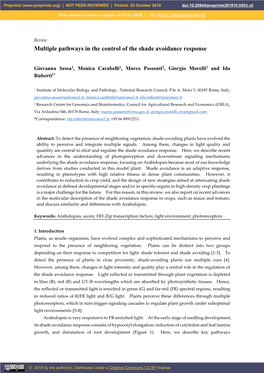 Multiple Pathways in the Control of the Shade Avoidance Response