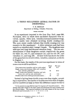 A Third Sex-Linked Lethal Factor in Drosophila T