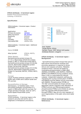 STK24 Antibody - C-Terminal Region Rabbit Polyclonal Antibody Catalog # AI16132