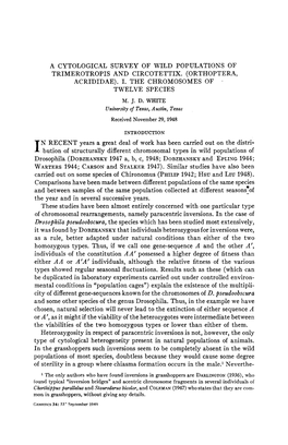 A Cytological Survey of Wild Populations of Trimerotropis and Circotettix. (Orthoptera, Acrididae). I. the Chromosomes of Twelve