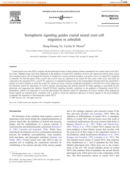 Semaphorin Signaling Guides Cranial Neural Crest Cell Migration in Zebrafish