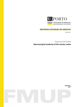 Neurosurgical Anatomy of the Insular Cortex