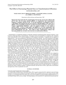 The Effect of Increasing Plasmid Size on Transformation Efficiency in Escherichia Coli