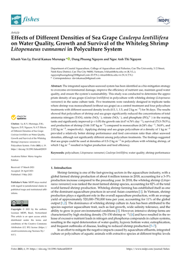 Effects of Different Densities of Sea Grape Caulerpa Lentillifera