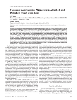 Fusarium Verticillioides Migration in Attached and Detached Sweet Corn Ears