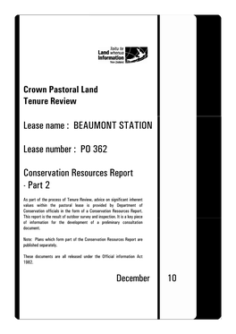 Crown Pastoral-Tenure Review-Beaumont-Conservation