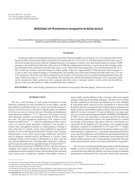 BREEDING of Biomphalaria Tenagophila in MASS SCALE