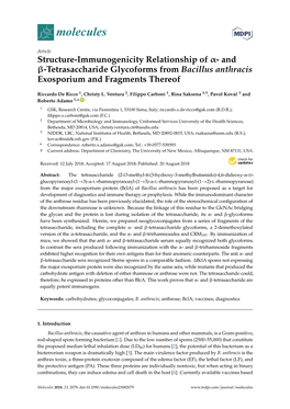 Tetrasaccharide Glycoforms from Bacillus Anthracis Exosporium and Fragments Thereof