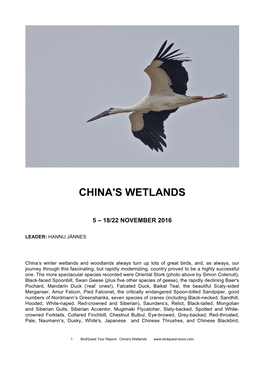 China's Wetlands