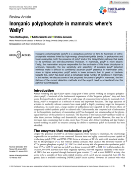 Inorganic Polyphosphate in Mammals: Where’S