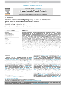 Molecular Identification and Pathogenicity of Citrobacter And