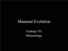 Mammal Evolution