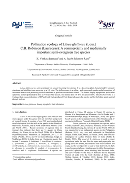 Pollination Ecology of Litsea Glutinosa (Lour.) C.B. Robinson (Lauraceae): a Commercially and Medicinally Important Semi-Evergreen Tree Species