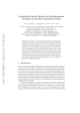 Geometrical Optical Illusion Via Sub-Riemannian Geodesics in the Roto-Translation Group