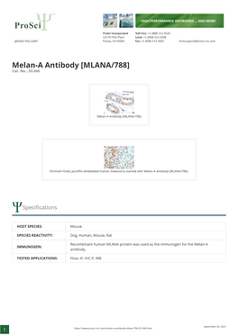 Melan-A Antibody [MLANA/788] Cat