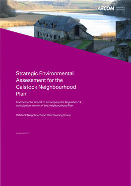 Report Strategic Environmental Assessment for the Calstock