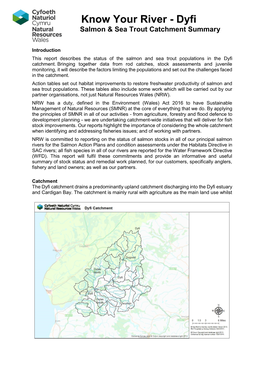 Know Your River - Dyfi Salmon & Sea Trout Catchment Summary