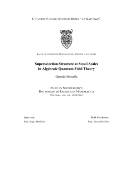 Superselection Structure at Small Scales in Algebraic Quantum Field Theory