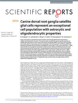 Canine Dorsal Root Ganglia Satellite Glial Cells Represent an Exceptional Cell Population with Astrocytic and Oligodendrocytic P