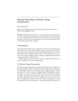 Entropy Encoding in Wavelet Image Compression