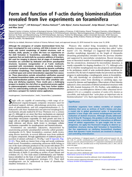 Form and Function of F-Actin During Biomineralization Revealed from Live Experiments on Foraminifera